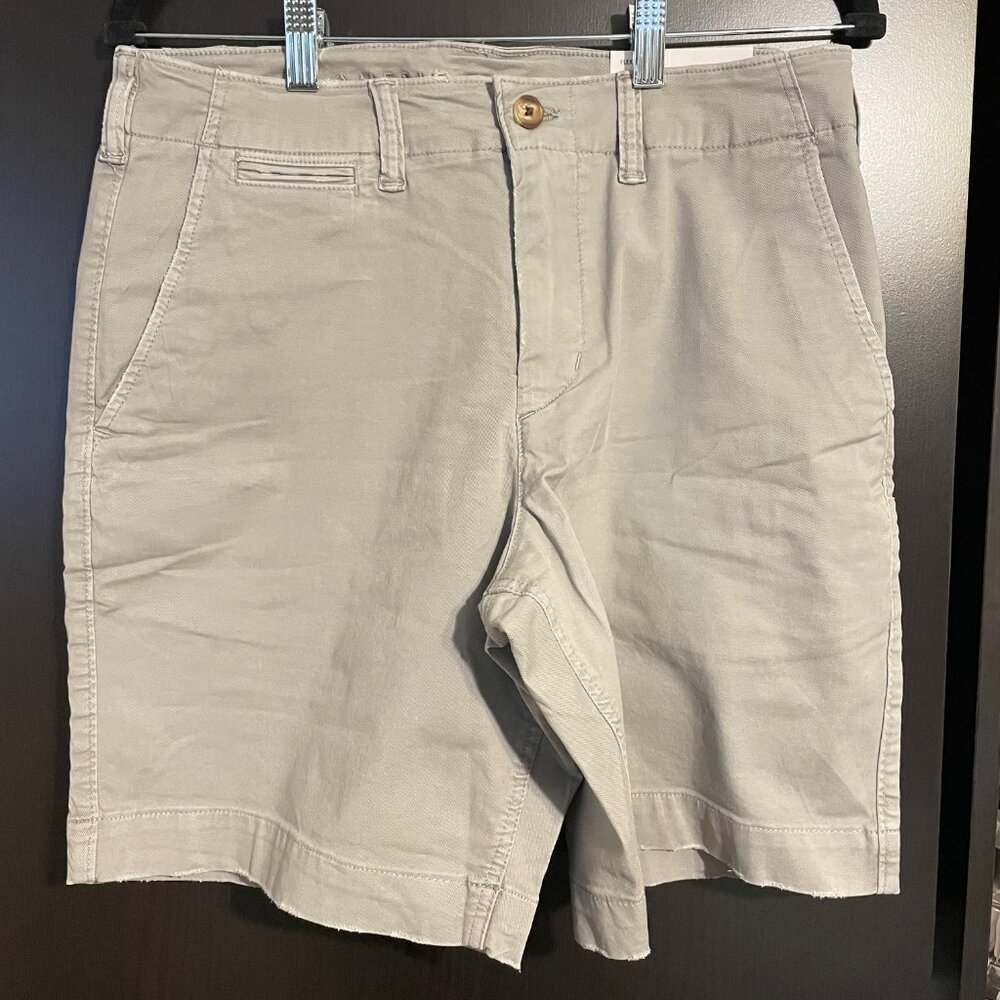 NWT American Eagle, Flex Men's Shorts, Size 32 - Picture 2 of 4